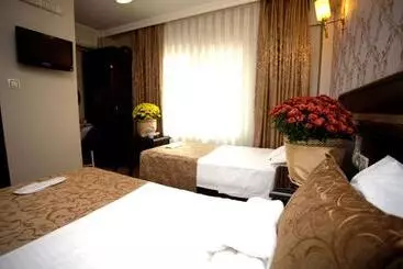 هتل Sultanahmet Park