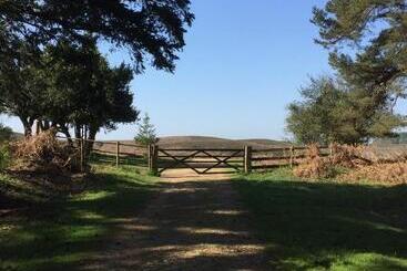 ベッドアンドブレックファースト No Car Needed