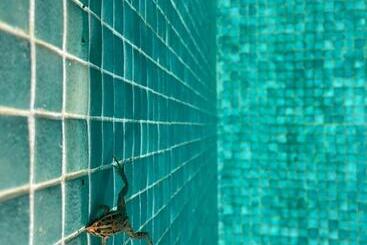 پانسیون Herdade Amália Rodrigues