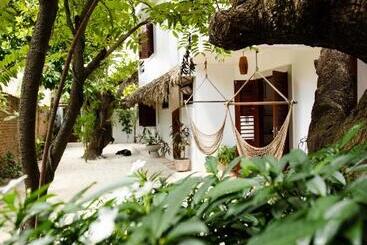 Bed and Breakfast Jeri Pousada