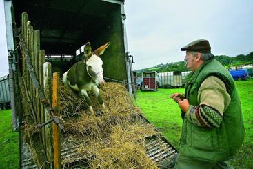בית מלון כפרי River Island
