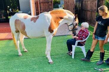 Hotel Farm Stay Maple Cottage At Wilindi Estate