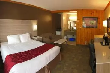 酒店 Knights Inn Huntsville