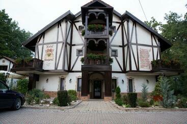 ホテル Stejarul