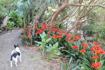 بيت ريفى Wharepuke Subtropical Accommodation