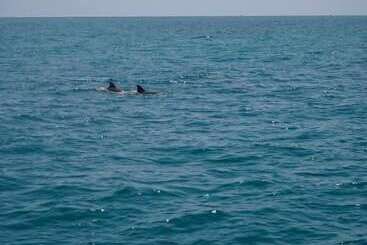 هتل Sail Florida Adventures