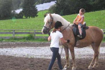 별장 Bauernhof Kendlhof