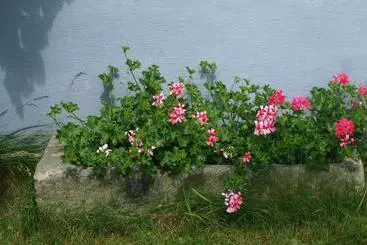 Отель Ferienhof Streicher