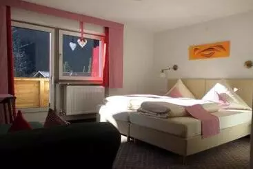 ペンション Alpina Appartements