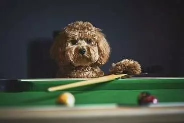 レジデンス Church Meadows