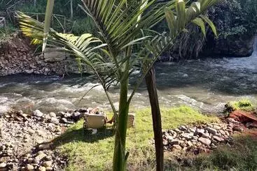 Pension Theanabas Trout & Seafood Grill