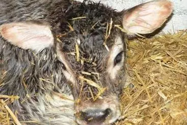 별장 Bauernhof Stotznerhof