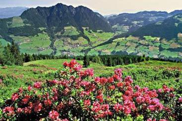 Bed and Breakfast Luxen Pension