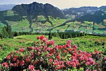 Bed and Breakfast Luxen Pension