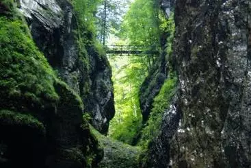 Bed and Breakfast Luxen Pension