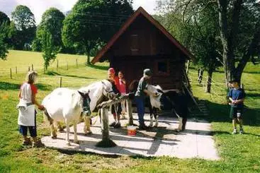 Hotel Steinbauer (ramsau)