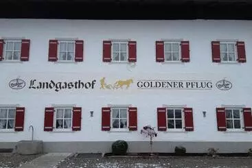 Отель Landgasthof Goldener Pflug