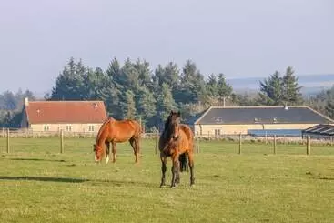 Mökkimajoitus The Byre