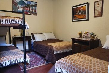 هاستل Parrot House