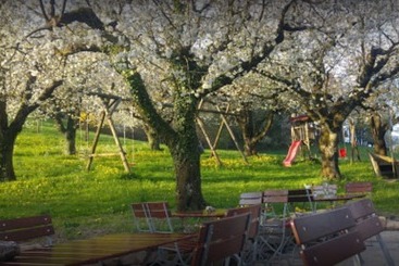 Hostal Gasthaus Seerose