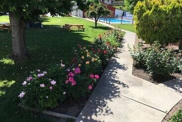 Maple Leaf Motel & Rv Resort