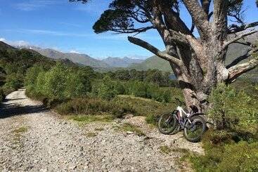 Tomich Holidays Courtyard Cottage