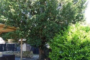 مسافرخانه Halfway House