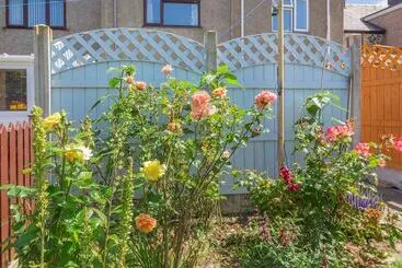 Mökkimajoitus 40 New Row