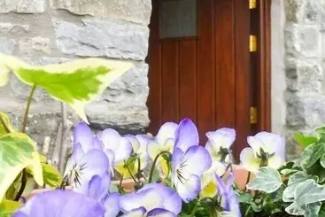 Casa Rural The Byre