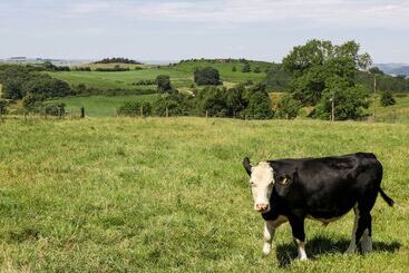 Hus på landet Cobbled Corner