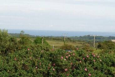 コテージ Halvosso