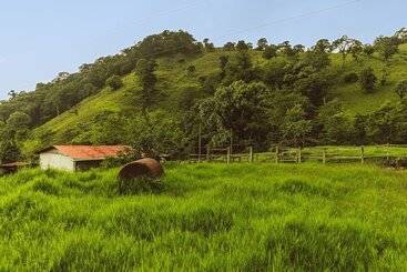 בית מלון כפרי Aurora Mountain