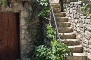 Hotel Medusa House Boutique