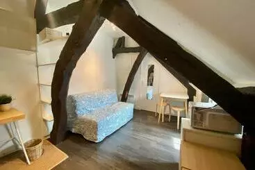Apartamenty turystyczne Sous Le Ciel De Rouen   Superbe Studio Centre   076