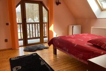 펜션 Vila Ianis Bran