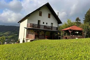 پانسیون Casa Viorica