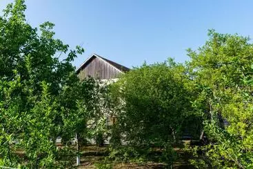 Pensione Dream Guest House