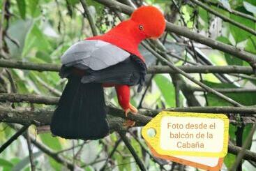 هاستل Hostal Y Cabañas Los Juanes