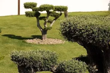 Bed and Breakfast Villa Miramar Frontignan