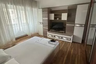 Tourist flats Apartament 1 Camera Ultracentral Rm