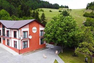 هتل Holiday Borjomi