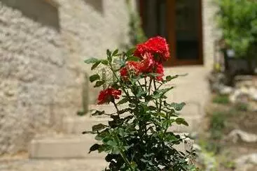 ベッドアンドブレックファースト La Villa Del Senatore