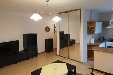 آپارتمان‌های توریست‌ها Apartments In Panevezys City Center