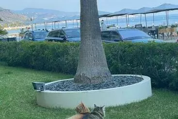 آپارتمان‌های توریست‌ها Appartamento Incantevole A Menton Fronte Spiaggia
