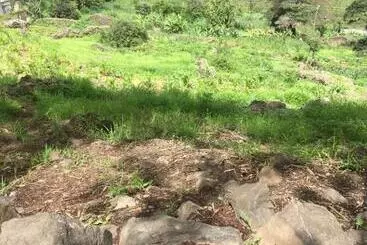 تختخواب و صبحانه Pousada Rural Simpatia