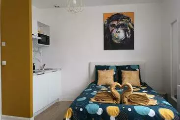 Turist apartmanları Studio Cosy Chaleureux Quartier Calme Wifi