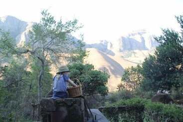 Бунгало Forest Creek Lodge & Spa