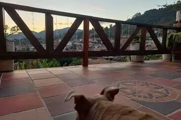 ツーリストアパートメント Hermoso Loft Con Terraza