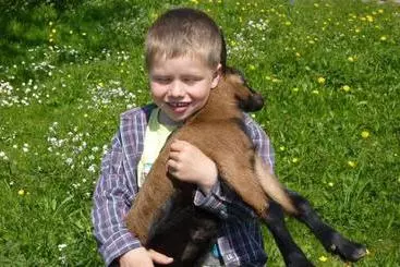 Сельский дом Bauernhof Niederacher