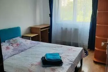 ツーリストアパートメント Apartament Spatios In Iasi